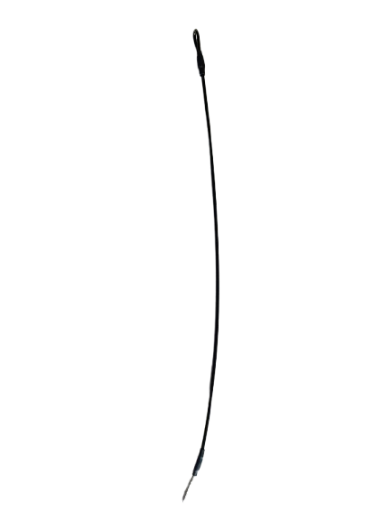 Lanière avec boucle et clou cranté 16mm - longueur 25 cm